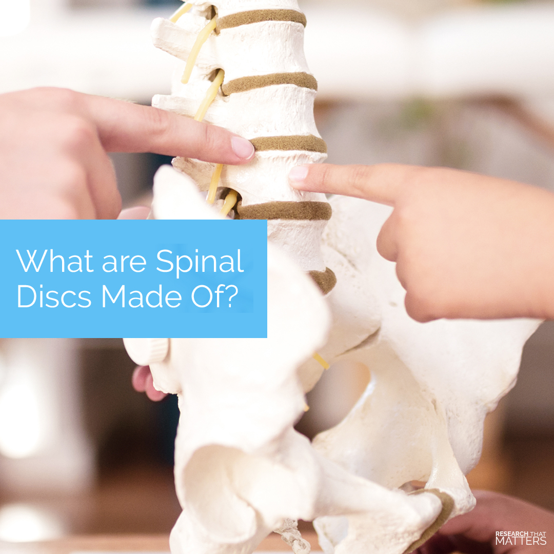 What are spinal discs made of?
